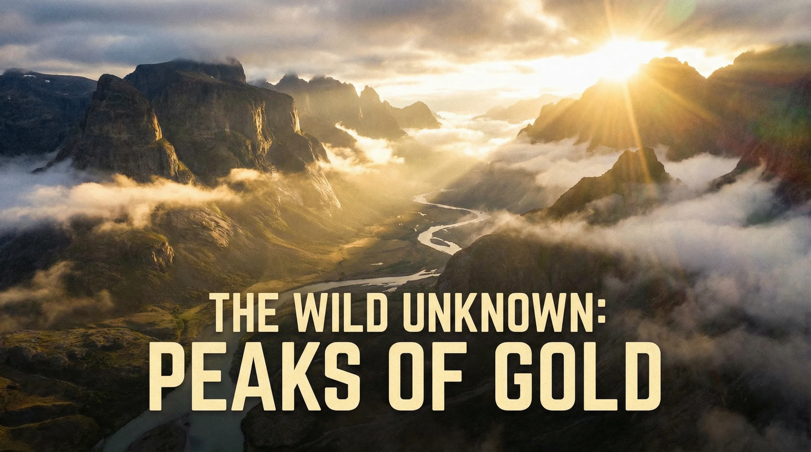 玩物社区探花精选内容展示